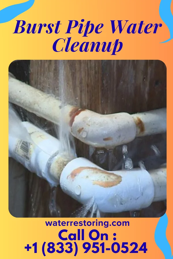 Burst Pipe Water Cleanup in Scranton, PA