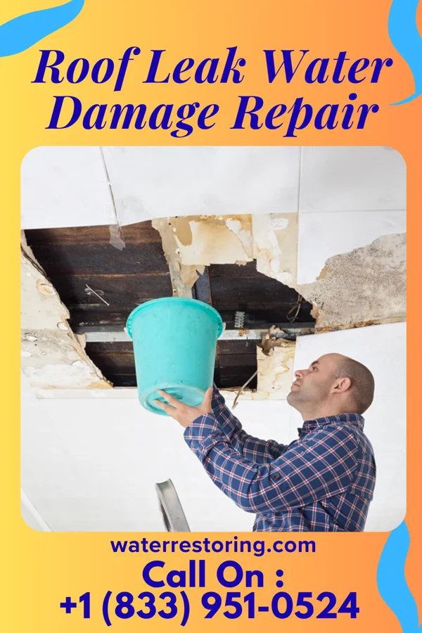 Roof Leak Water Damage Repair in Scranton, PA